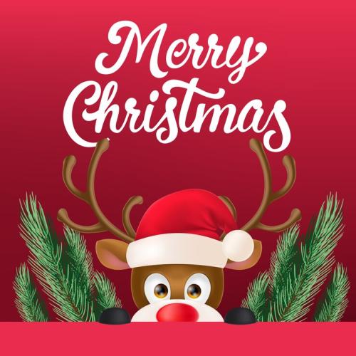 Merry Christmas Messages